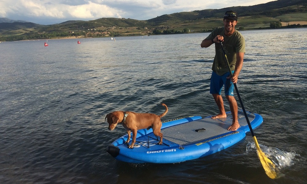 how-to-keep-your-dog-safe-when-paddle-boarding-9