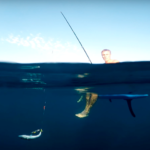 Рыбалка на Черном море: купаемся и ловим ставриду на SUP